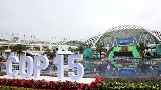 COP15 to hash out goals, paths for global biodiversity conservation in next decade: secretariat