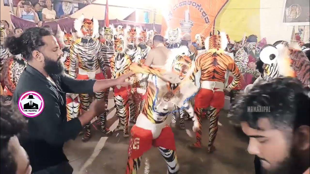 Танец тигров в школе