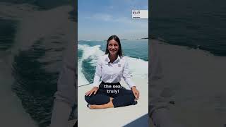 sessa marine C48
