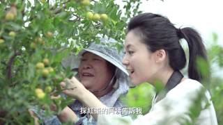 苗栗九大休閒農業區微電影　黃金小鎮休閒農業區