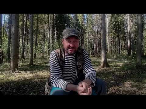 Весенний карасямба. - YouTube