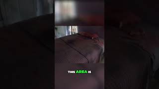 Hantu Menabrak Dinding Di Rumah Hantu Dean