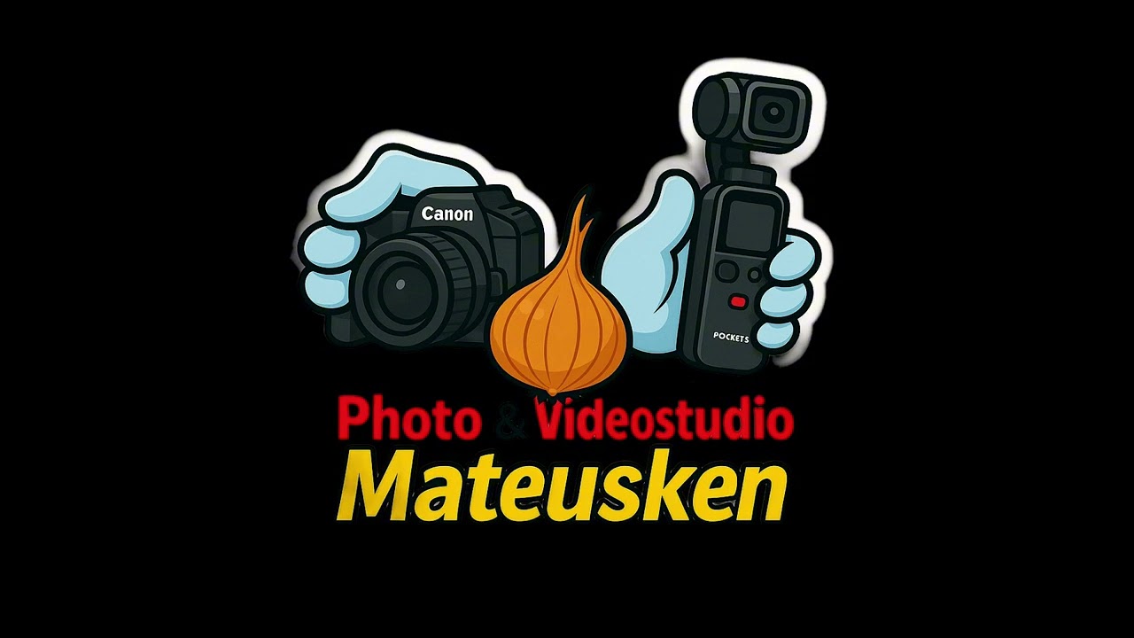 Oilsjt carnaval mix 2026 met de schows 