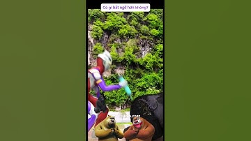 Gấu Đại và Gấu Nhị bình luận trận chiến quái vật #HoatHinhChoBe #CuoiVuiCungBe #TruyenCuoi #Shorts