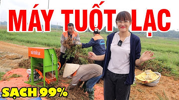 🔥 Máy Tuốt Lạc Đầu Nổ 6,5HP | Tuốt Sạch 99%, Năng Suất 500Kg/Giờ, Dùng Mọi Nơi Không Cần Điện!