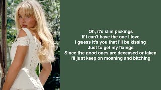 Download Lagu Slim Pickins - Sabrina Carpenter (lyrics) MP3