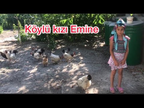 Country girl Emine ..Köylü kızı Emine.sabah erkenden horoz Emineyi uyandırıyor .Köyde tavukla yaşam