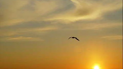 DOVECOTE OF DREAMS