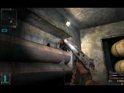 stalker bug