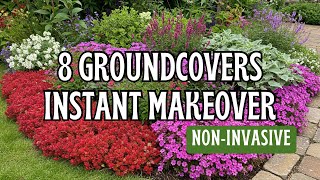 Top 8 Fast-Growing Non Invasive Ground Covers To Transform Your Yard