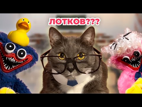 ЕСЛИ БЫ КОТИКИ ХОДИЛИ В ШКОЛУ - СОЧИНЕНИЯ И ШКОЛА ХАГИ ВАГИ