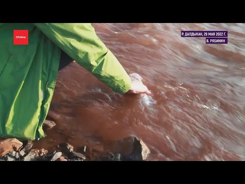 Река Далдыкан в Норильске снова красная