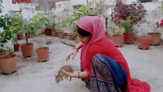 Daily Routine Vlog Quit Baby Cat Sureman Ki Duniya