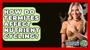 How Do Termites Affect Nutrient Cycling? - Ecosystem Essentials