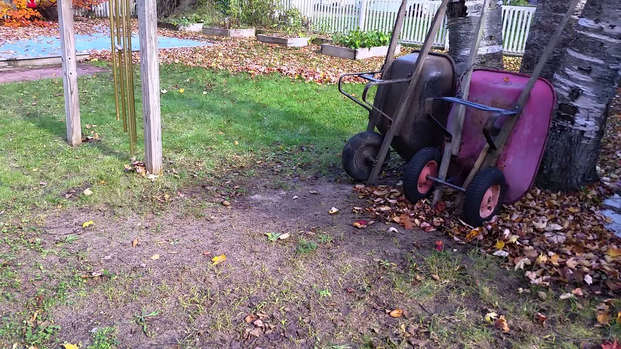 Craftsman Leaf Vacuum 4in1plus - YouTube