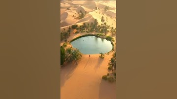 واتس اب قران كريم القارئ ياسر الدوسري من سورة (النمل)