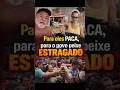 Para eles PACA, pro povo PEIXE ESTRAGADO