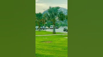 جمال القارئ وجمال الاية وجمال المكان