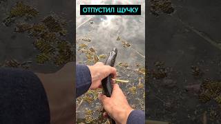 ОТПУСТИЛ ЩУЧКУ