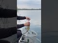 Поклёвка леща на фидер🎣 #фидер #рыбалка #лещ #fishing #bream #feeder