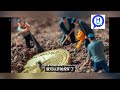 I'd like to recommend a mining software.