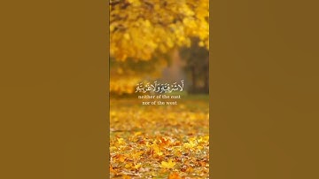 قرآن كريم #قران_كريم #صلوا_على_النبي #ايات_من_القران #آيات