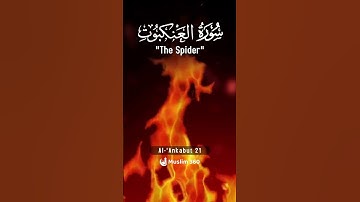Surah Al-Ankabut 21 | Urdu-Hindi Audio Translation | سورة العنكبوت | #surah #islamdaily #quran