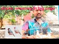 Java beby release big cage#java sparrow