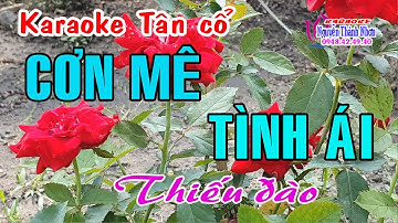 Karaoke tân cổ CƠN MÊ TÌNH ÁI - THIẾU ĐÀO [Hát cùng Nghệ sỹ Minh Vương]