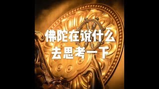 201802 佛陀在说什么 去思考一下23720