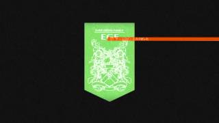 Armored Core Verdict Day Evergreen Family Ver. 2