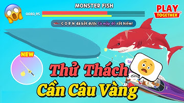 Play Together | Mình Đã Thử Thách 48h Dùng Cần Câu Vàng Cày Chay Câu Bóng 6 Sẽ Như Thế Nào #190