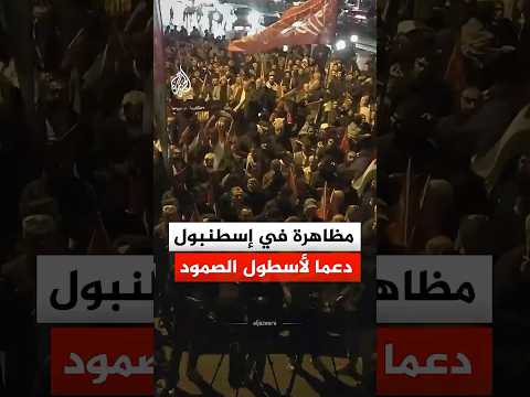 مظاهرة في إسطنبول دعما لأسطول الصمود
