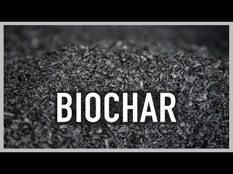 Video: Quanto biochar dovrei usare?