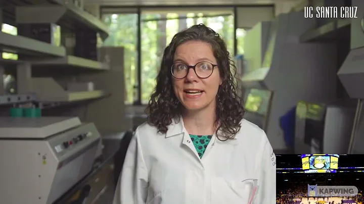 Scientists completed successfully the Human Genome Codes 100%