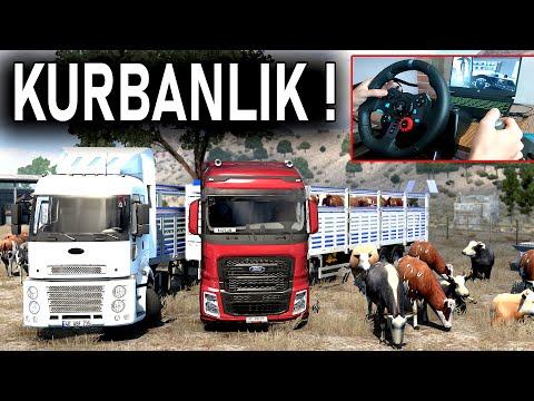 TIRLA KURBANLIK TAŞIYORUZ ! İNEKLER ÖLDÜ ETS 2 MOD