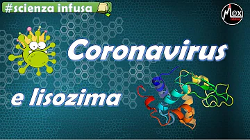 A cosa serve la lisozima?