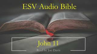 ESV Audio Bible | John Chapter 11 | Read by Joe Davis