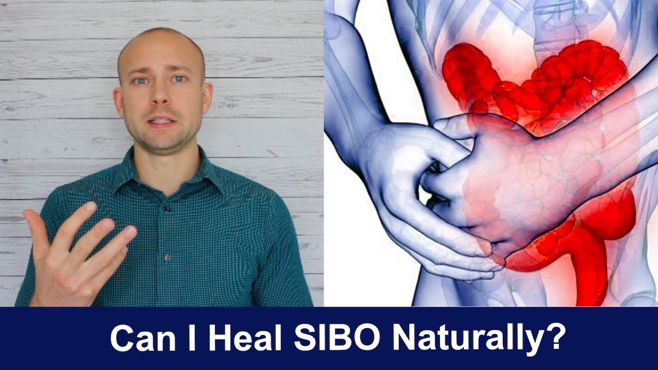 A Holisitc Approach to Sibo