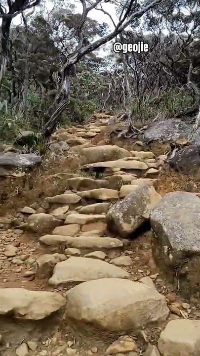 hiking memang penat mcm ni?? #myhealing #hiking #crazycomedy #storywa