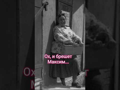 Ох, и брешет Максим! #shorts #кино #фильм #нашикомедии #нашекино