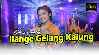 Intan Chacha - Ilange Gelang Kalung