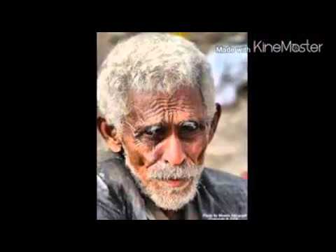 الشاعر جبار الفريجي قصيدة رؤؤؤعه