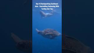Day 45 Backpacking Southeast Asia - snorkelling + Swimming with turtles