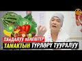 ТАМАКТЫН ТҮРЛӨРҮ ТУУРАЛУУ (пайда-зыяны). ВРАЧ-ТЕРАПЕВТ ГҮЛСАНА БАПАЕВА