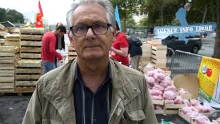 Distribution de fruits et légumes au prix juste à Paris