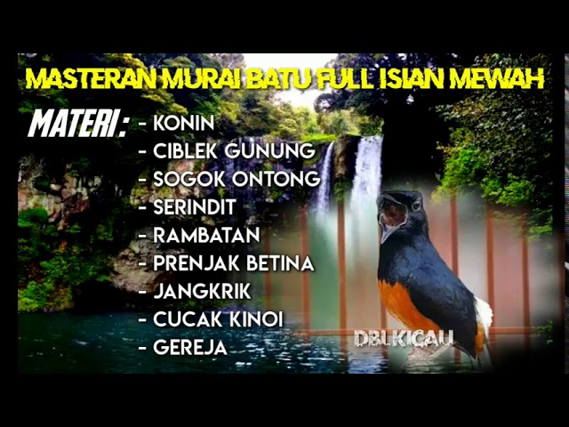 MASTERAN MURAI BATU FULL ISIAN MEWAH || KOMBINASI SUARA TEMBAKAN DURASI PANJANG class=