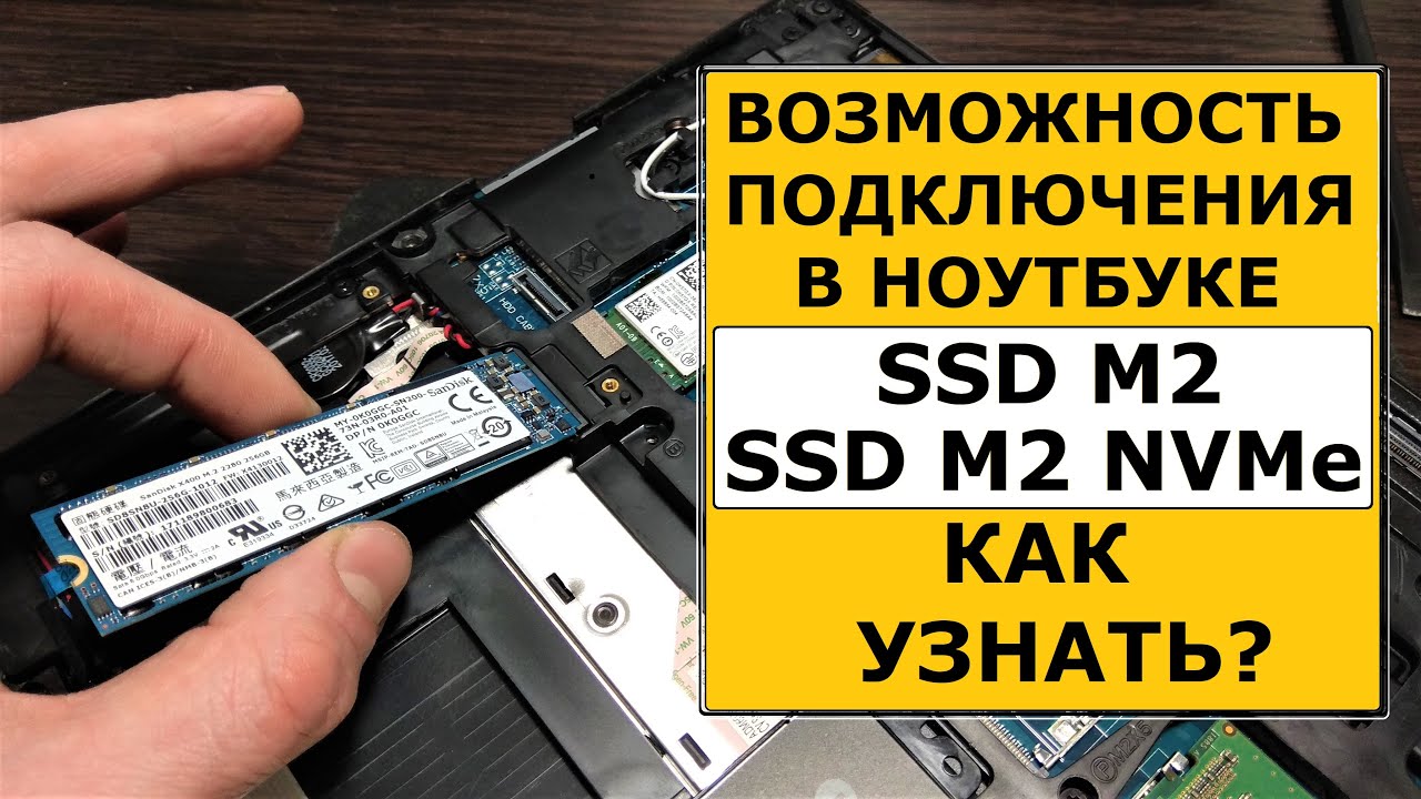 Ssd Для Ноутбука Фото