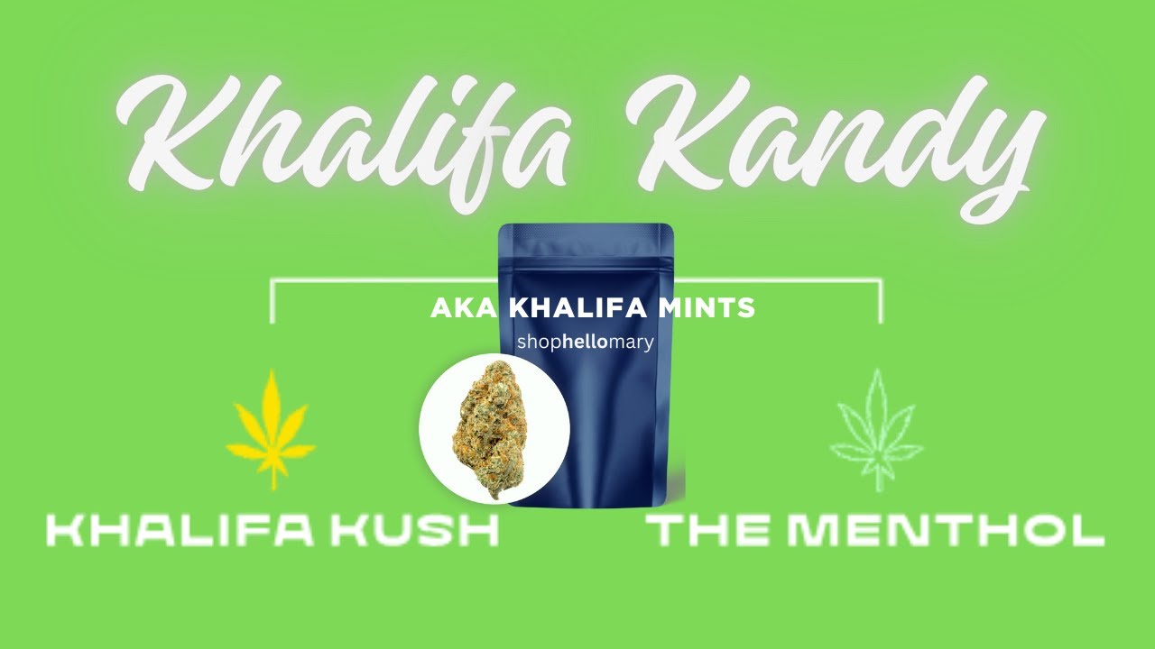 KHALIFA KANDY A.K.A. KHALIFA MINTS: SHOPHELLOMARY THCA STRAIN REVIEW