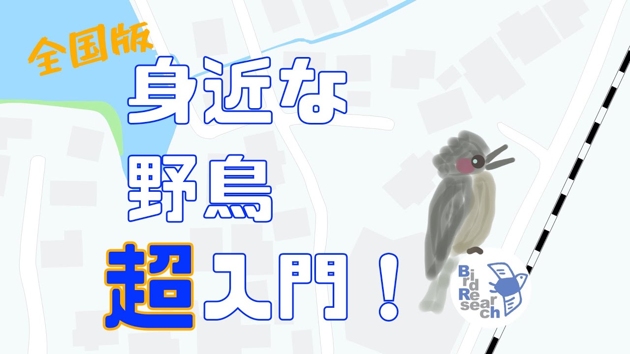 身近な野鳥 動画図鑑 超入門 全国版 Youtube